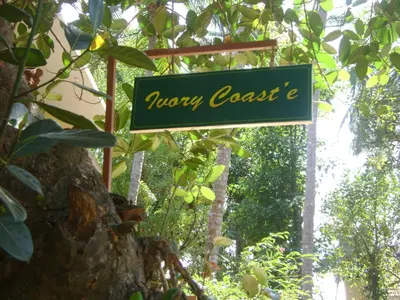 a sign for a monkey coaste in a tree at Ivory Coaste in Kannur