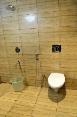 a bathroom with a toilet and a shower at Ranis Grand in Coimbatore