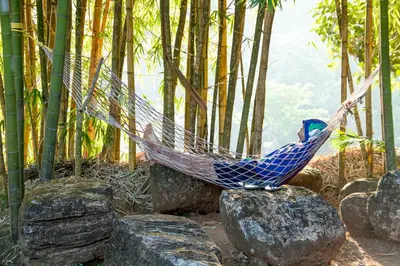a hammock sitting on some rocks in a forest at Misty Woods Resort in Kakkabe