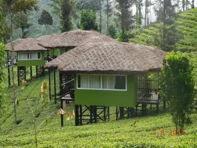 a group of huts on a hill in a field at Wild Planet Jungle Resort in Devāla