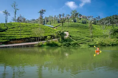 a person kayaking on a river near a tea plantation at Wild Planet Jungle Resort in Devāla