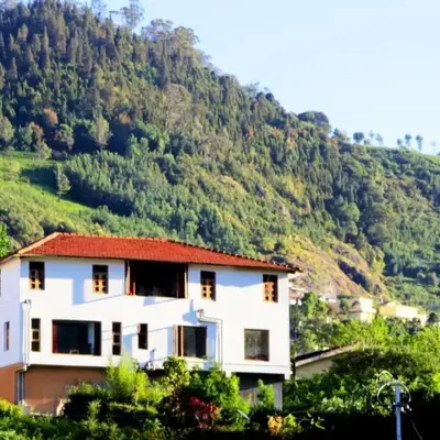 Satya Anand Cottage Pure Veg and Non Alcoholic Hotel