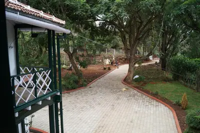 a view of a walkway in a park with trees at Fairy Glen in Coonoor