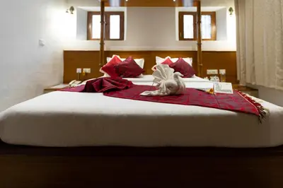 a cat laying on top of a bed at KSTDC Hotel Mayura Hoysala, Mysore in Mysore