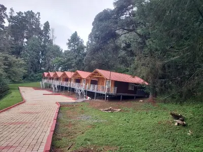 a row of cottages with red roofs in a forest at KSTDC Hotel Mayura Sudarshan ,Ooty in Ooty