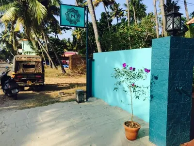 a plant in a pot next to a blue wall at Majo House in Cherai Beach