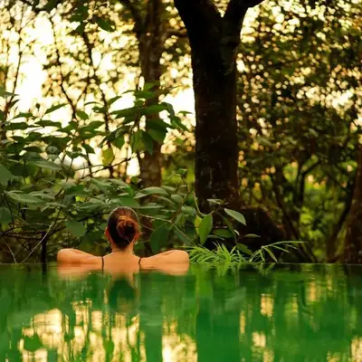 Wayanad Wild - A CGH Earth Experience