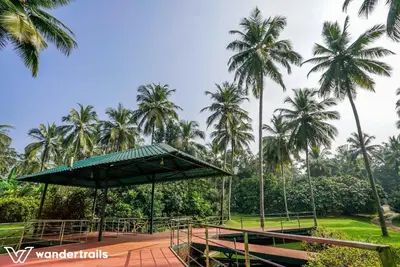 a group of palm trees in a park with benches at Teak Town in Nilambūr