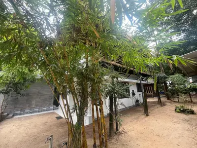 a group of trees in front of a building at Coconut Garden in Cherai Beach