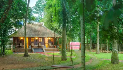 a house in the middle of a forest of trees at The Isle By Area 707 in Alwaye