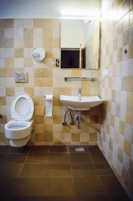 a bathroom with a toilet and a sink at Forestdale Coorg in Virajpet