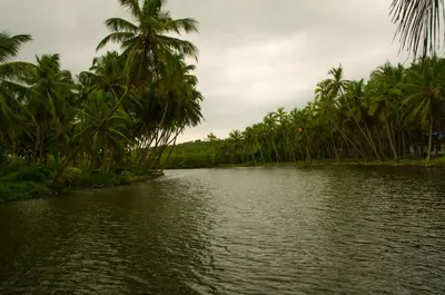 a river with palm trees on the side of it at KK Heritage in Kannur