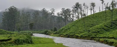 a river in a grassy field next to a mountain at Puthuthottam Annexe in Vālpārai