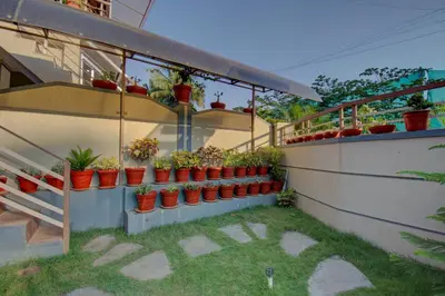 a bunch of potted plants on the side of a building at Srinikethana Home Stay with Swimming Pool in Madikeri