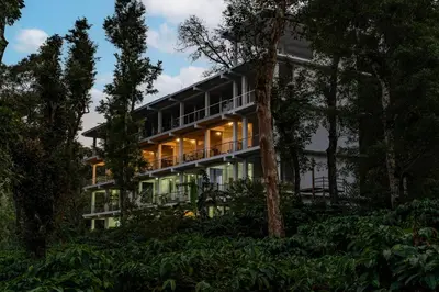 a house in the middle of the forest at Itsy Hotels Jammabane Cottage, 5 Minutes To Mountain View Coffee Plantation in Madikeri