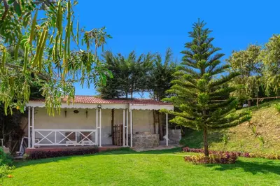 a house with a pine tree in the yard at Pine View Stay Ooty in Ooty