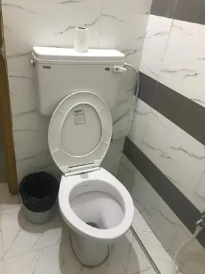 a bathroom with a toilet with a roll of toilet paper on the tank at Suvarna Compact in Mysore