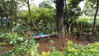 a wooden bench sitting under a tree in a forest at Wayanad Homestay in Kalpetta