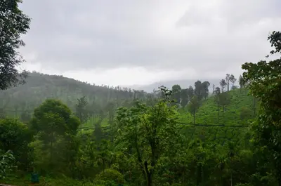 a view of a valley with trees and a mountain at Green Garden Deluxe Room in Vayittiri