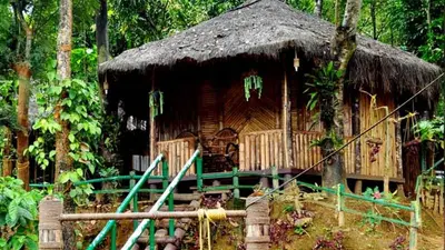 a small hut with a grass roof in a forest at KOOMANKOLLY RESORT in Thirunelli
