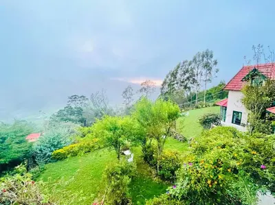 a house on top of a hill with trees at Stumpfields in Ooty