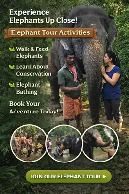 a flyer with a group of people and an elephant at Namasthe Ayurveda and Yoga Retreat Cochin Only for Ayurveda and Yoga Wellness Stay in Nedumbassery