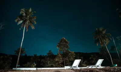 two white chairs and palm trees at night at Windermere River House in Neriyamangalam