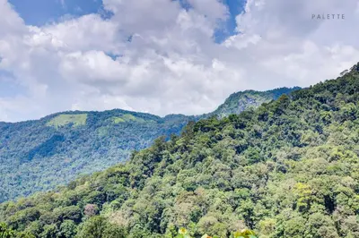 a view of a mountain with trees on it at JK Residency Kelakam in Kelakam