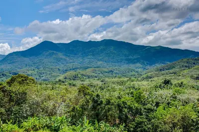 a view of the mountains from the forest at JK Residency Kelakam in Kelakam