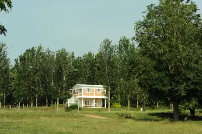 a house in the middle of a field with trees at River Valley Resort in Masinagudi