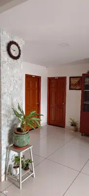 a room with a plant on a table and two doors at Sugamya Corner Guesthouse in Mysore