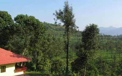 a house in the middle of a forest with trees at Green Garden Lotus Villa in Kaniyāmbetta