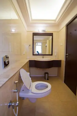 a bathroom with a toilet with a sink and a mirror at Ginger Mysore in Mysore