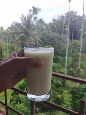 a hand holding a glass of white drink at Kalidasa Tree House and Villa, Wayanad in Chekadi