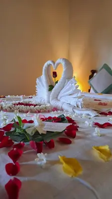 a cake with two swans made to look like hearts at Raindrops Resorts Wayanad in Sultan Bathery