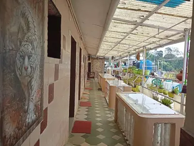 a hallway with sinks and a painting of a lion on the wall at Hill Inn Rooms an HomeStay in Ooty