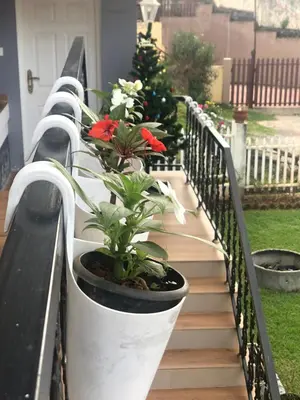 a row of potted plants on a railing at Aanvis inn in Ooty