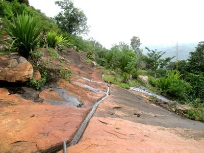 a stream of water on a dirt road at Relaxing 2 B/R Estate House, Deenaty, Tamil Nadu in Coimbatore