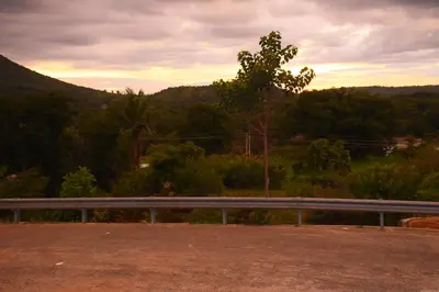 a view of a road with a fence and trees at KSTDC Hotel Mayura Bharachukki, Shivanasamudra in Sivasamudram