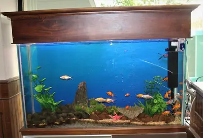 a large fishtank with a blue aquarium at Surabhi Suites in Angamali