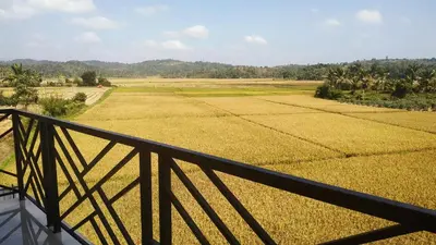 a view of a rice field from a balcony at Paddyfield Inn in Mananthavady