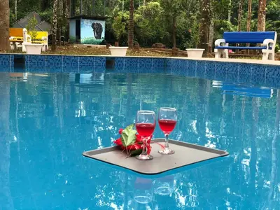 two glasses of wine on a tray in a swimming pool at Paddyfield Inn in Mananthavady