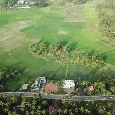 Paddyfield Inn