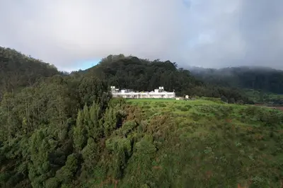 a house on top of a hill with trees at Delightz Inn in Ooty