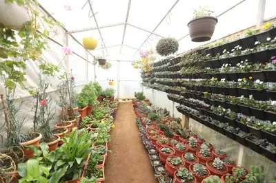 a greenhouse filled with lots of potted plants at Delightz Inn in Ooty