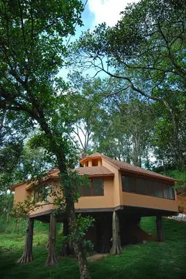 a house on two trees in a field at Vythiri Village in Vythiri