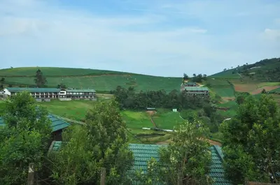 a view of a hill with houses and trees at Destiny - The Farm Resort in Ooty