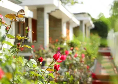 a group of red flowers in front of a house at Elysium Garden in Munnar