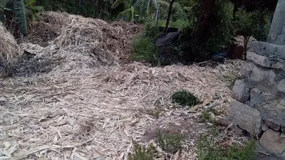 a pile of hay next to a wall at Kanthalloor Homestay Snow White Holiday Homes in Kanthalloor