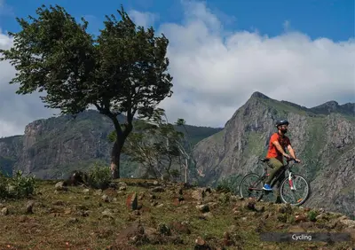a man riding a bike on a hill with a tree at The Serai Bandipur in Bandipūr